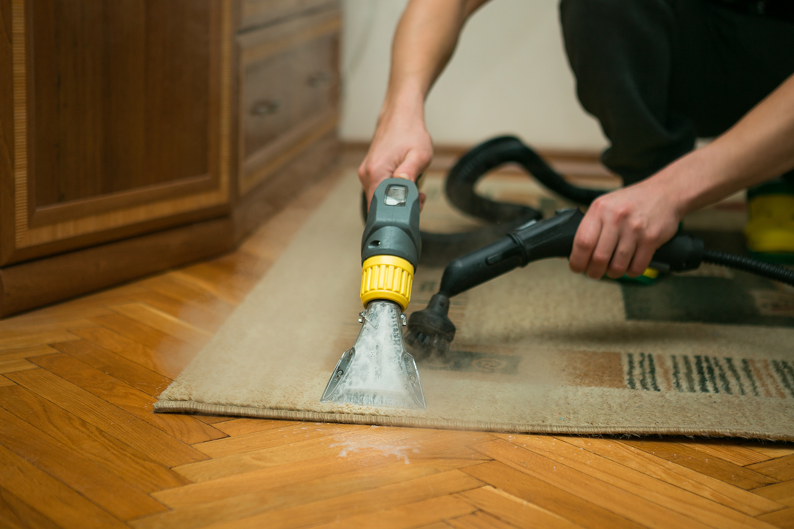 dirty-carpet-facts-e-b-carpet-cleaning